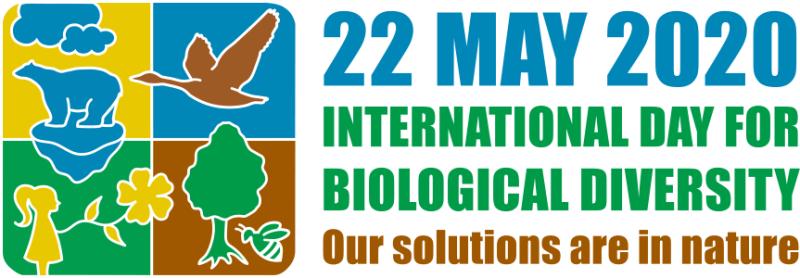 World Biodiversity Day